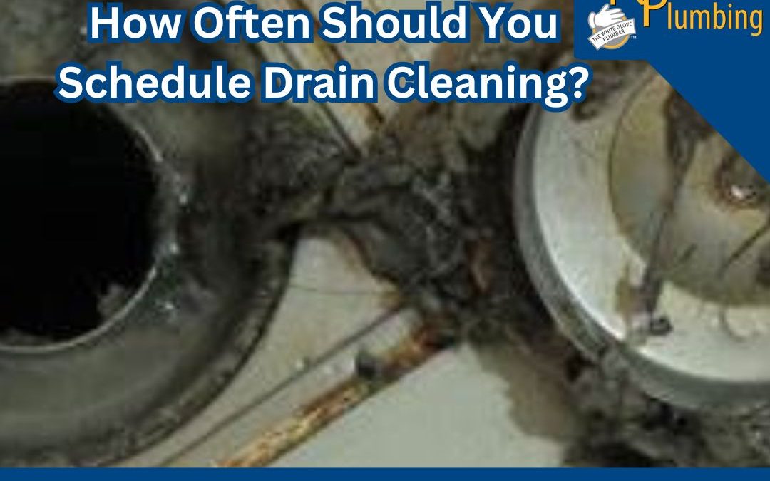 How Often Should You Schedule Drain Cleaning?
